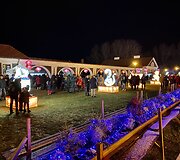 &Scaron;viesos festivalis &bdquo;Didieji Kinijos žibintai&ldquo;