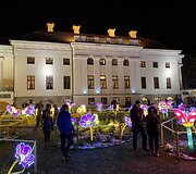 &Scaron;viesos festivalis &bdquo;Didieji Kinijos žibintai&ldquo;