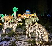 &Scaron;viesos festivalis &bdquo;Didieji Kinijos žibintai&ldquo;