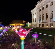 &Scaron;viesos festivalis &bdquo;Didieji Kinijos žibintai&ldquo;