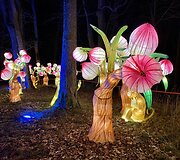 &Scaron;viesos festivalis &bdquo;Didieji Kinijos žibintai&ldquo;