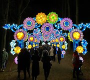&Scaron;viesos festivalis &bdquo;Didieji Kinijos žibintai&ldquo;