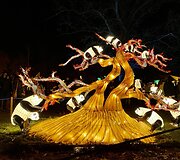 &Scaron;viesos festivalis &bdquo;Didieji Kinijos žibintai&ldquo;