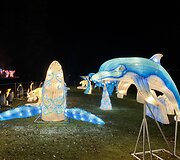 &Scaron;viesos festivalis &bdquo;Didieji Kinijos žibintai&ldquo;