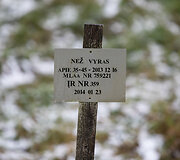 Karveli&scaron;kių kapinės