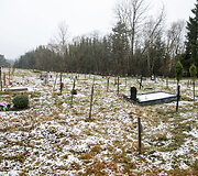 Karveli&scaron;kių kapinės
