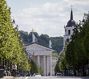 Vilnius katedra