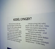 Seniausias žinomas archeologinis radinys Lietuvoje
