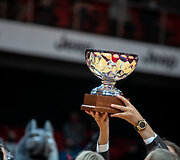 LKL taurė