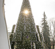 Vilniaus Kalėdų eglė