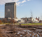 Saulėtas Vilnius