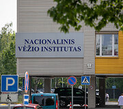 Nacionalinis vėžio institutas