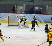 Kontinentinės taurės rungtynės: Vilniaus &bdquo;Hockey Punks&ldquo; &ndash; Tartu &bdquo;VALK494&ldquo;