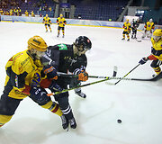 Kontinentinės taurės rungtynės: Vilniaus &bdquo;Hockey Punks&ldquo; &ndash; Tartu &bdquo;VALK494&ldquo;
