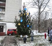 Kalėdų eglė Antakalnyje