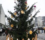 Kalėdų eglė Lazdynuose