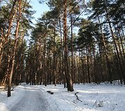 Tvarkomas Vingio parkas