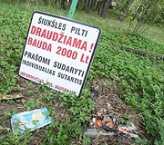 Vilniečiai nevengia &scaron;iuk&scaron;les sudeginti arba palikti pakelėje