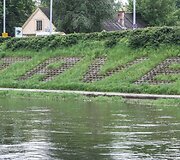 Gėlių gausa Vilnius pasigirti negali