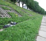Gėlių gausa Vilnius pasigirti negali