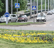 Gėlių gausa Vilnius pasigirti negali