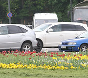 Gėlių gausa Vilnius pasigirti negali