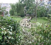 Per audrą i&scaron;vartyti medžiai tebetvarkomi