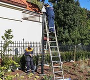 Bernardinų sodas nuo sekmadienio bus atidarytas vilniečiams ir miesto svečiams