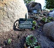 Bernardinų sodas nuo sekmadienio bus atidarytas vilniečiams ir miesto svečiams