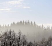 Rytas po naktinės &scaron;alnos