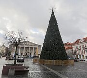 Eglė Rotu&scaron;ės aik&scaron;tėje