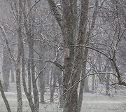 Trečiadienį Vilniuje gausiai sninga