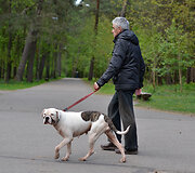 Laisvalaikis Vingio parke