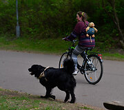 Laisvalaikis Vingio parke