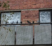 Naujininkų bendrabučiai