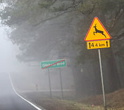 Kelionė į Ženevą (Lenkija)