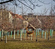 Pavasaris jau pradeda žadinti Vilnių