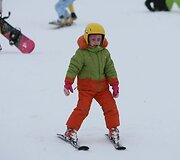 &Scaron;e&scaron;tadienį Liepkalnio žiemos trasoje, Vilniuje, susirinko snieglenčių sporto mylėtojai.2006 metais snieglenčių diena buvo pradėta &scaron;vęsti tarptautiniu mastu, 2008-aisiais, sulaukusi didelio pasisekimo, &scaron;i &scaron;ventė paplito ne tik Europoje, bet taip pat įžengė į Kanadą, JAV, Rusiją, kitas Pasaulio &scaron;alis