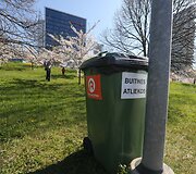 Prie sakurų pirmadienį &scaron;iuk&scaron;lių kalnų nebebuvo