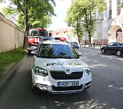 Vilniuje rasta talpa su gyvsidabriu
