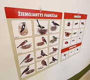 Vaikų darželis &bdquo;Vikutis&ldquo;