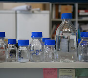 Vilniaus universiteto Biotechnologijos instituto profesoriaus Virginijaus &Scaron;ik&scaron;nio laboratorija