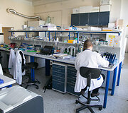 Vilniaus universiteto Biotechnologijos instituto profesoriaus Virginijaus &Scaron;ik&scaron;nio laboratorija