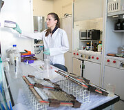 Vilniaus universiteto Biotechnologijos instituto profesoriaus Virginijaus &Scaron;ik&scaron;nio laboratorija