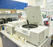 Vilniaus universiteto Biotechnologijos instituto profesoriaus Virginijaus &Scaron;ik&scaron;nio laboratorija