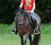 Legendinį žygį entuziastai pakartos su garsiaisiais žirgais &ndash; žemaitukais