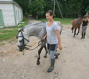 Legendinį žygį entuziastai pakartos su garsiaisiais žirgais &ndash; žemaitukais