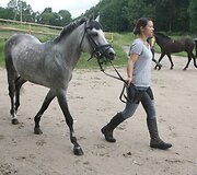 Legendinį žygį entuziastai pakartos su garsiaisiais žirgais &ndash; žemaitukais