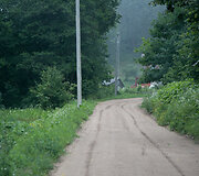 &Scaron;ernų siautėjimo padariniai Griovių kaime