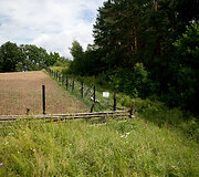 &Scaron;ernų siautėjimo padariniai Griovių kaime